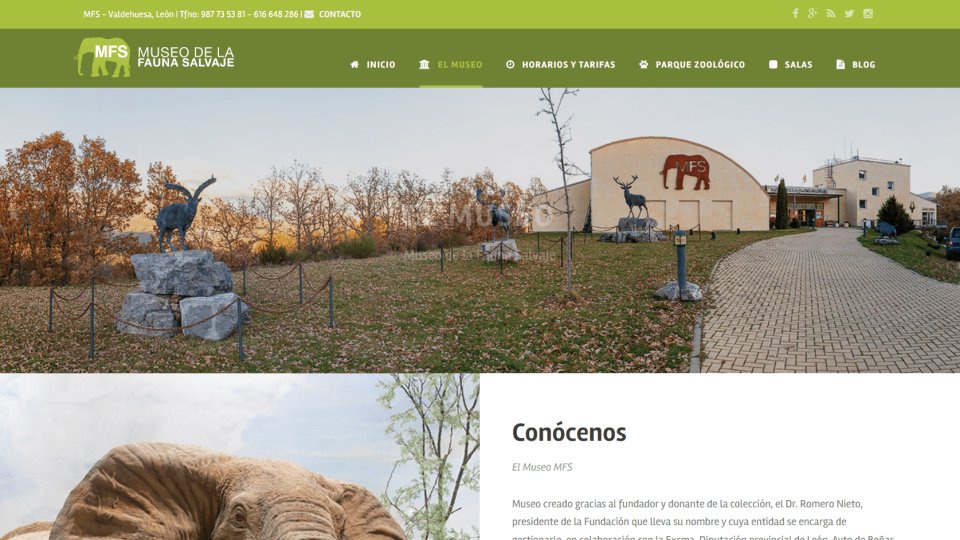 Museo de la fauna salvaje - el museo