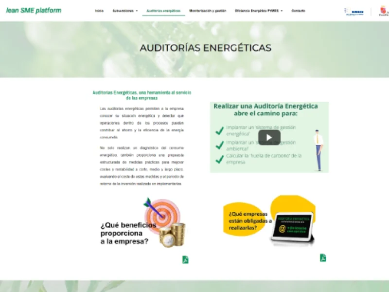 ayudas energía empresas - auditorías energéticas