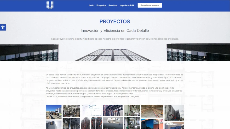 Unelsa - proyectos (1)